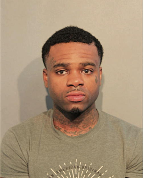 CHRISTOPHER D LAWSON, Cook County, Illinois