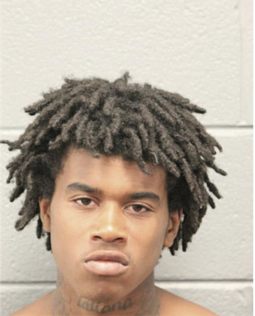 DEMARKO MASON, Cook County, Illinois