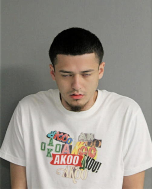 NICOLAS NUNEZ, Cook County, Illinois