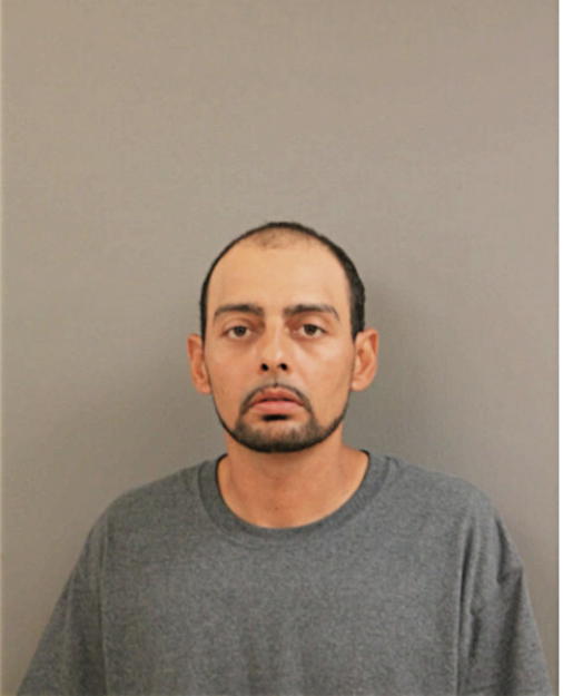 ABEL CARRION OLMEDA, Cook County, Illinois