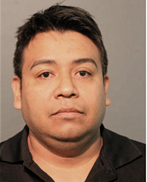 FERNANDO ORTEGA, Cook County, Illinois