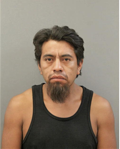 FELIPE PACHECO-JIMENEZ, Cook County, Illinois