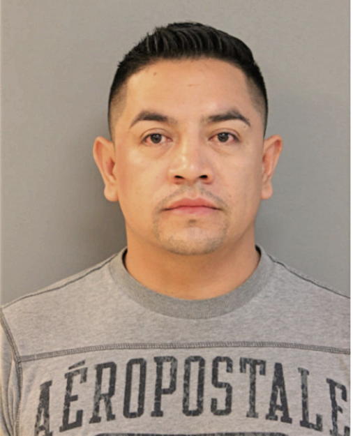 MATIAS PENA, Cook County, Illinois