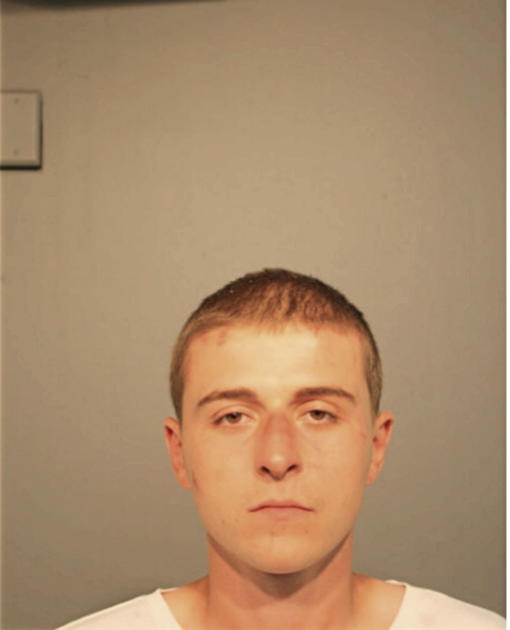 BESARD PEROVIC, Cook County, Illinois