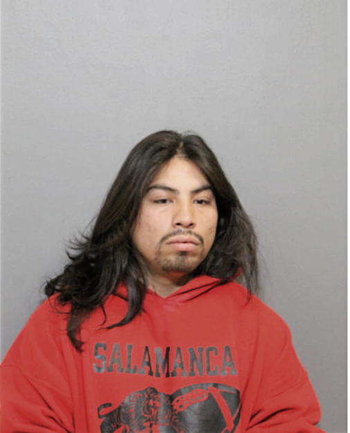FERNANDO M RUIZ, Cook County, Illinois