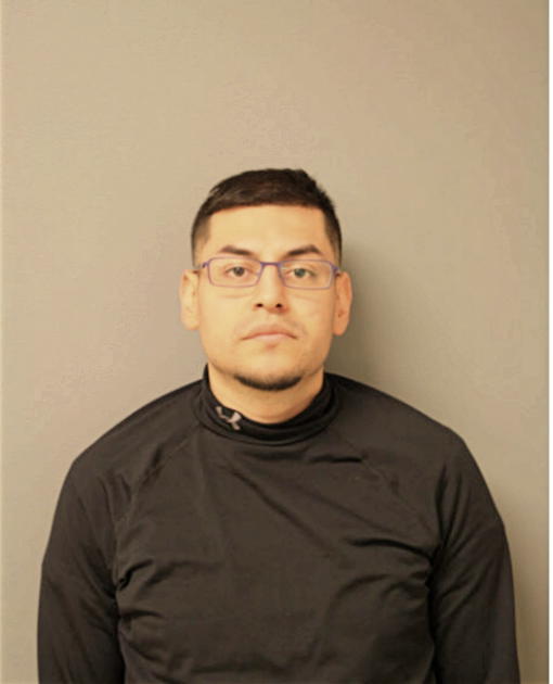 DANIEL J SANDOVAL, Cook County, Illinois