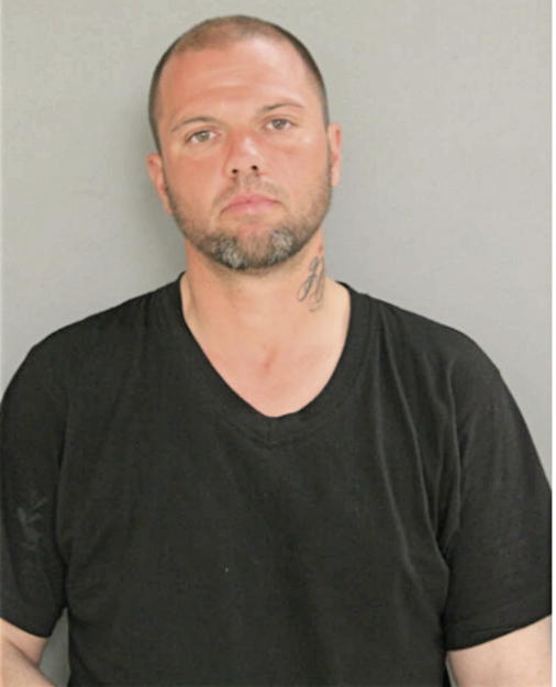 ANTHONY ROSS SCHMIDT, Cook County, Illinois