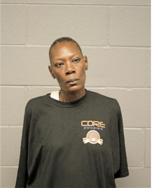 SABRINA N SELVIE, Cook County, Illinois