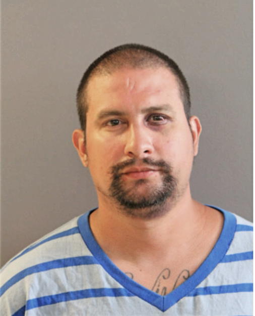 GUSTAVO SEPULVEDA, Cook County, Illinois