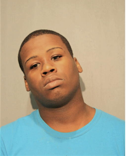 BRIAN A ULMER, Cook County, Illinois