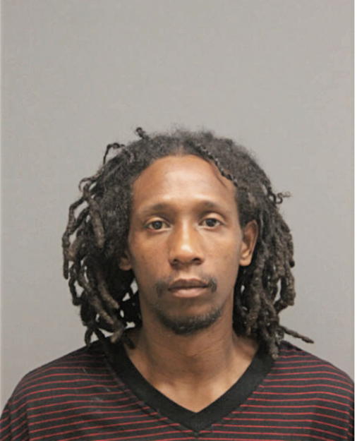 RYAN D WHIGHAM, Cook County, Illinois