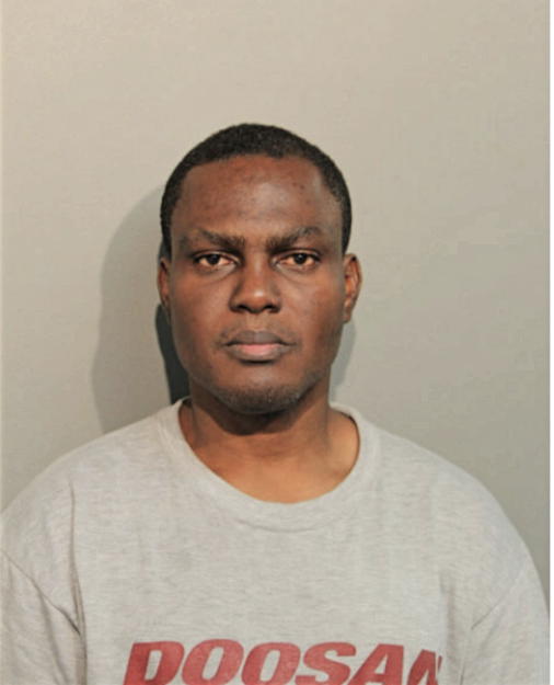 OLUSEGUN NMI AKINSANYA, Cook County, Illinois
