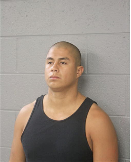 OMAR BERRONES, Cook County, Illinois