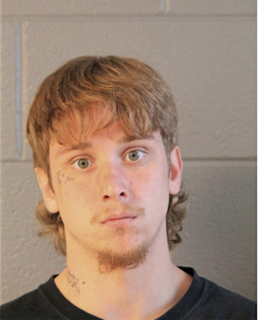 RYAN N BOWEN, Cook County, Illinois