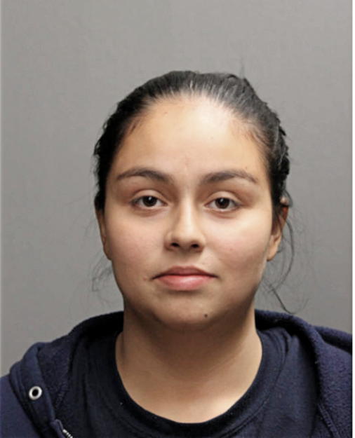 NORMA R DOMINGUEZ, Cook County, Illinois