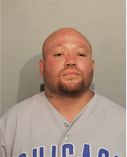 BRIAN DYSON, Cook County, Illinois
