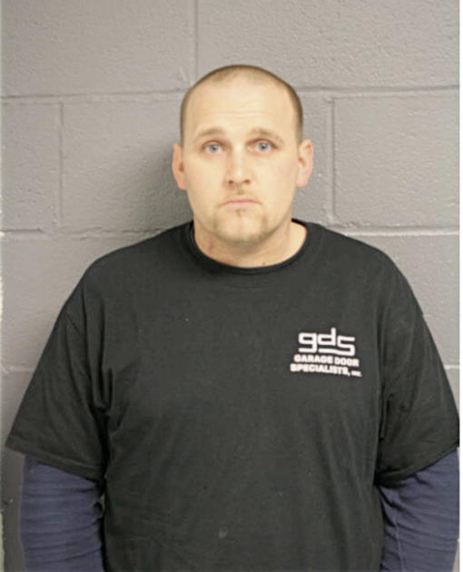 NICHOLAS A FARUZZI, Cook County, Illinois