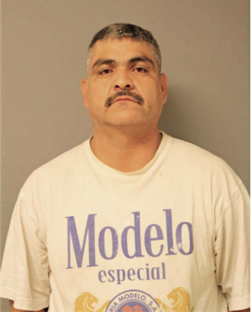 FRANCISCO J GARCIA, Cook County, Illinois