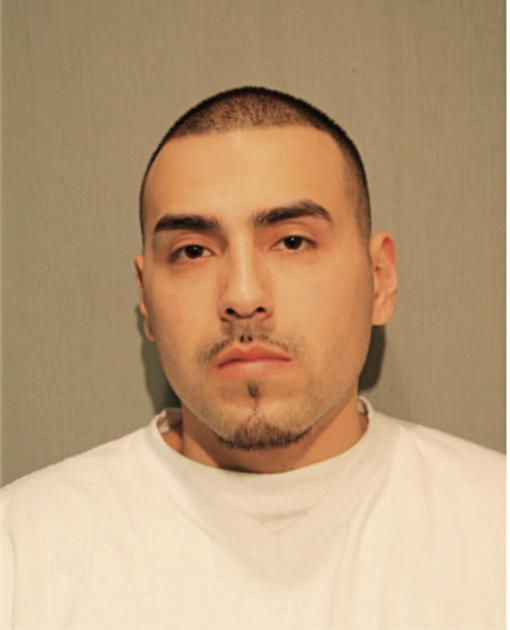 JULIO GONZALEZ, Cook County, Illinois