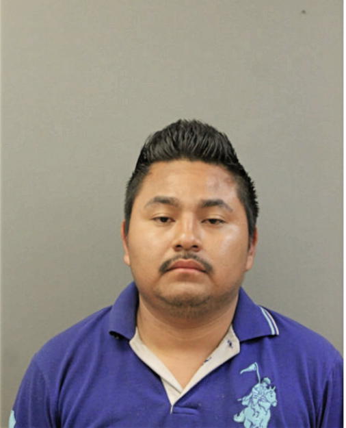 ANDERSON GUZMAN, Cook County, Illinois