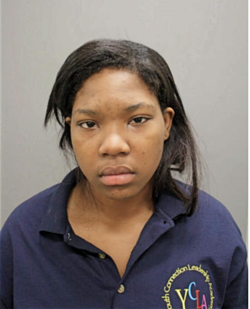 JAZMIN A KING, Cook County, Illinois
