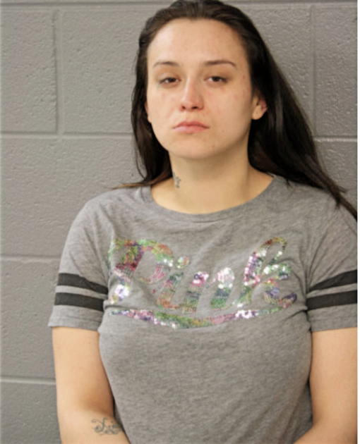 CANDICE L KLIMCZAK, Cook County, Illinois