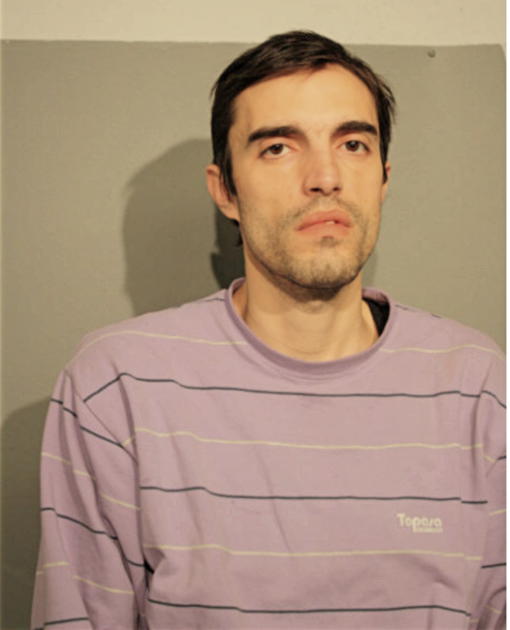 VLADIMIR LABOVIC, Cook County, Illinois