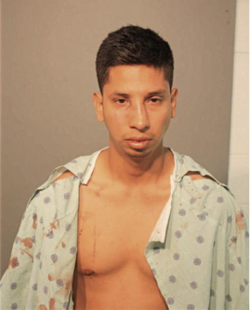 OSCAR LOZA-IBERRA, Cook County, Illinois