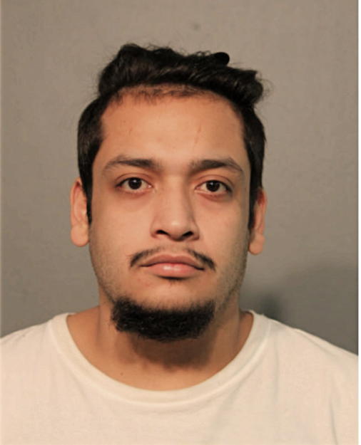 CESAR A MARTINEZ, Cook County, Illinois