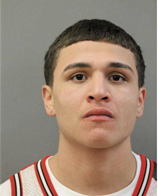 LUIS A MELENDEZ, Cook County, Illinois