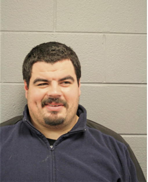 MICHAEL A NOE, Cook County, Illinois