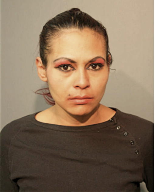 MANIS L NUNEZ, Cook County, Illinois