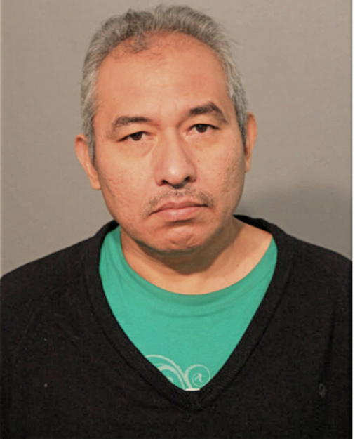 FIDEL HERNANDEZ ORTEGA, Cook County, Illinois