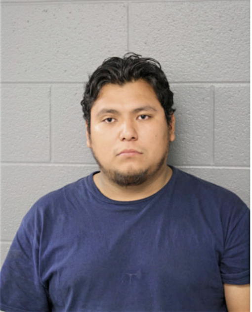 JOAQUIN REYES, Cook County, Illinois