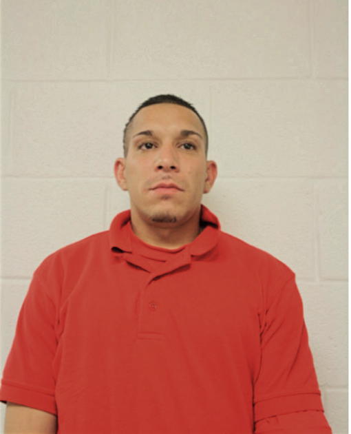 PETER J RIVERA, Cook County, Illinois