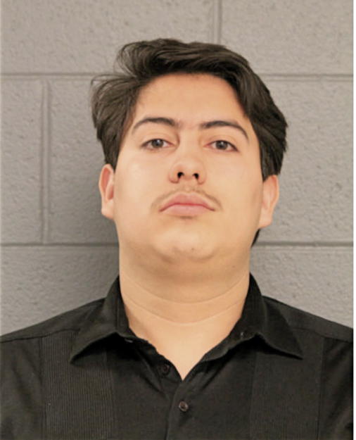 BRYAN B RODRIGUEZ, Cook County, Illinois