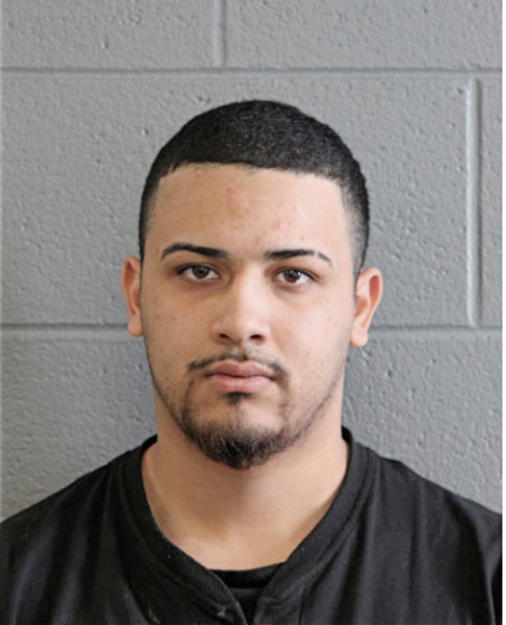 LUIS O RODRIGUEZ, Cook County, Illinois