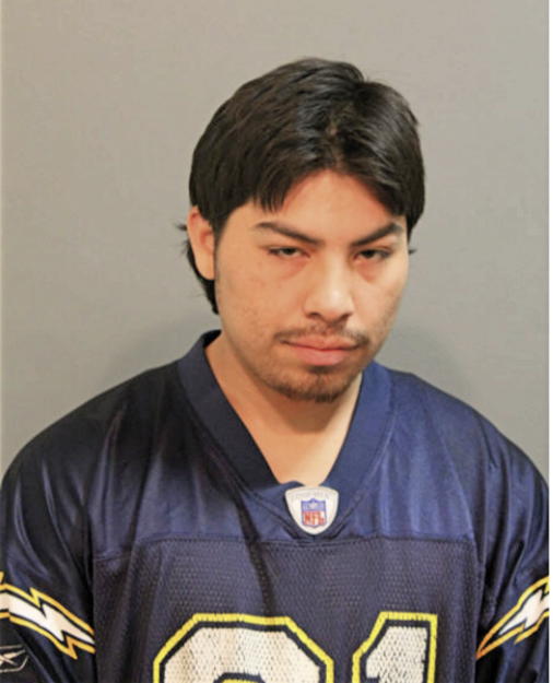 FERNANDO M RUIZ, Cook County, Illinois