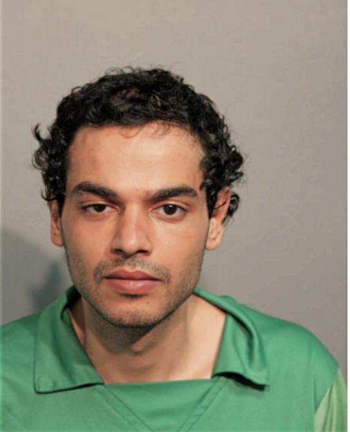 ALI QAZEM SELMAN, Cook County, Illinois