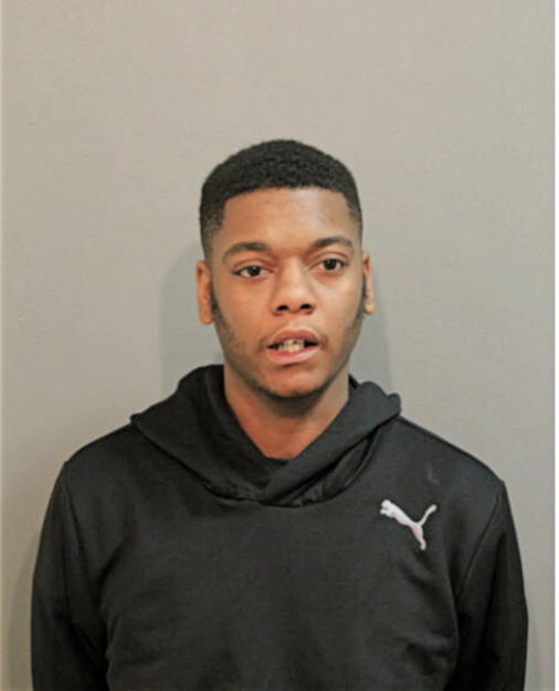TAURUS TYLER, Cook County, Illinois