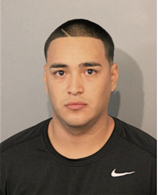 DARIO CESAR ARIZA, Cook County, Illinois
