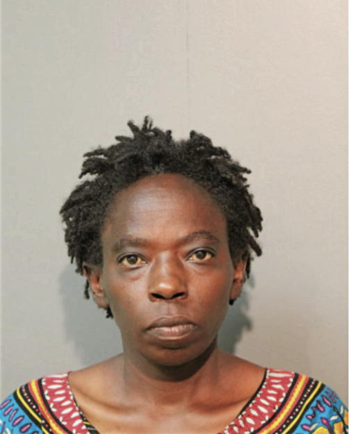 ALLEN BABIRYE, Cook County, Illinois