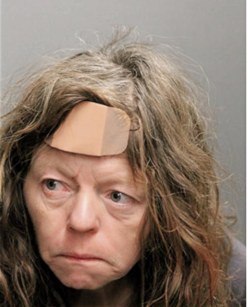 KIMBERLY A BAKER, Cook County, Illinois