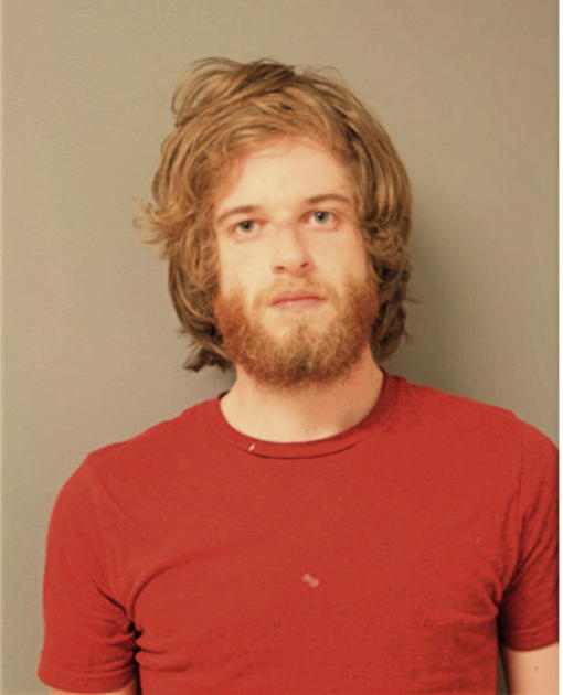 RYAN M BEDNARSKI, Cook County, Illinois