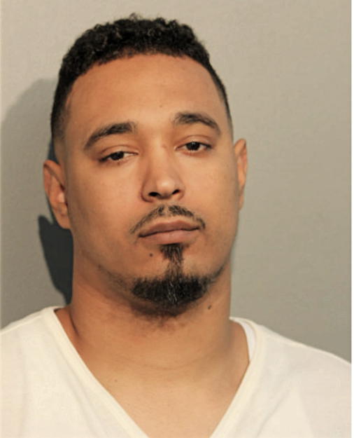 VINCENT D BRYSON, Cook County, Illinois