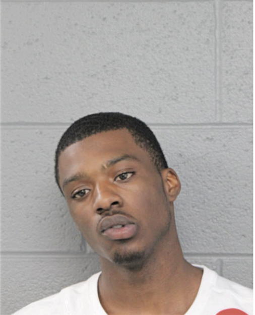 CRAIG L DAVIS, Cook County, Illinois