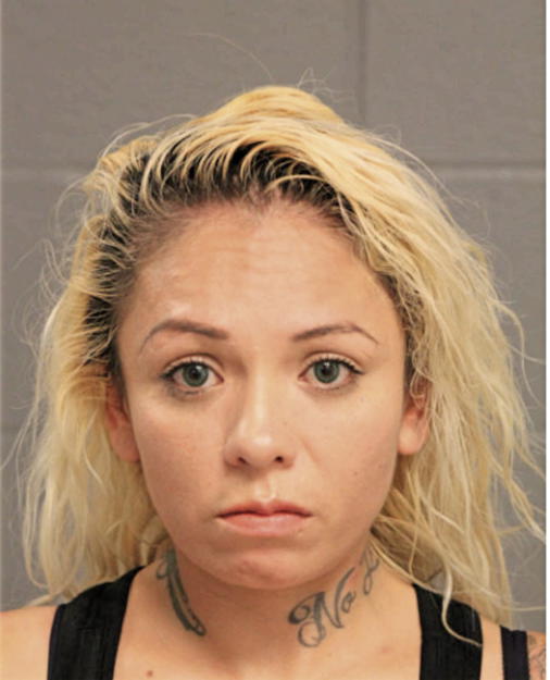MICHELLE M GARCIA, Cook County, Illinois