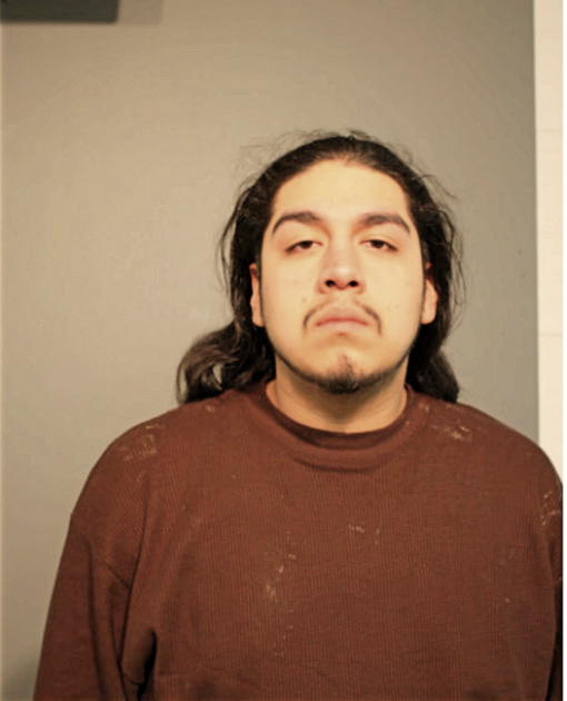 ERASMO GONZALEZ JR, Cook County, Illinois