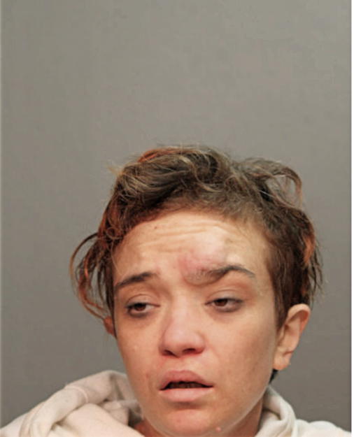 CASEY F MARTIN, Cook County, Illinois