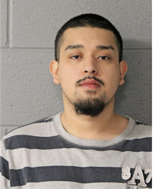 IRVIN MORALES, Cook County, Illinois
